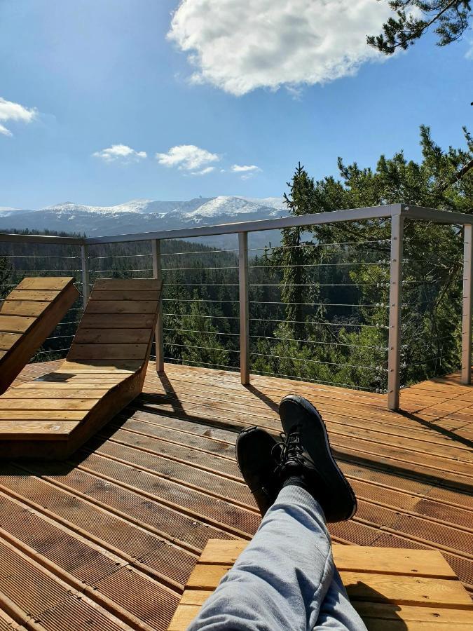 Apartament Nr 16 シクラルスカ・ポレンバ エクステリア 写真