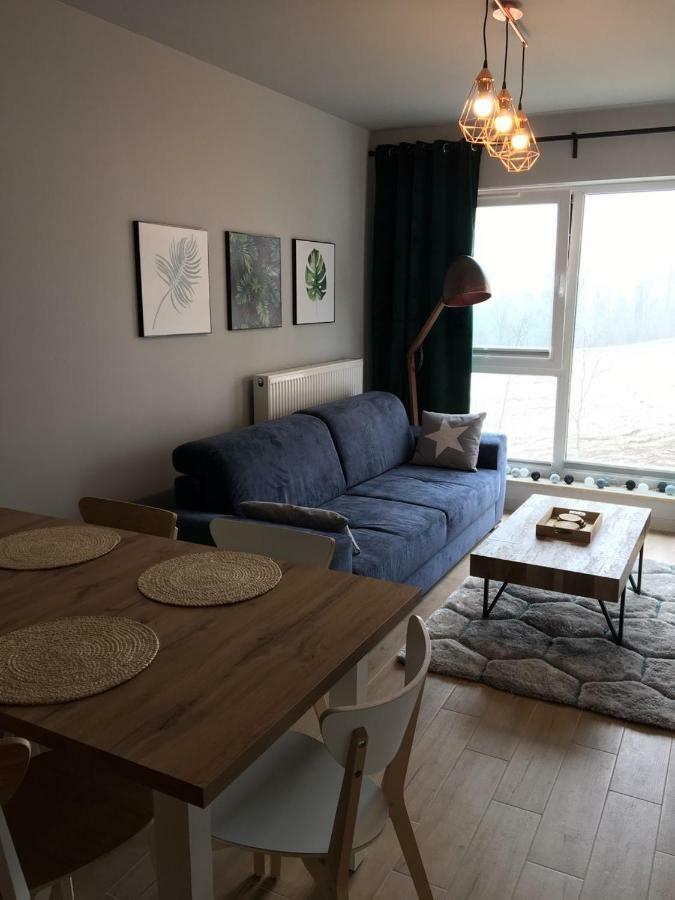 Apartament Nr 16 シクラルスカ・ポレンバ エクステリア 写真